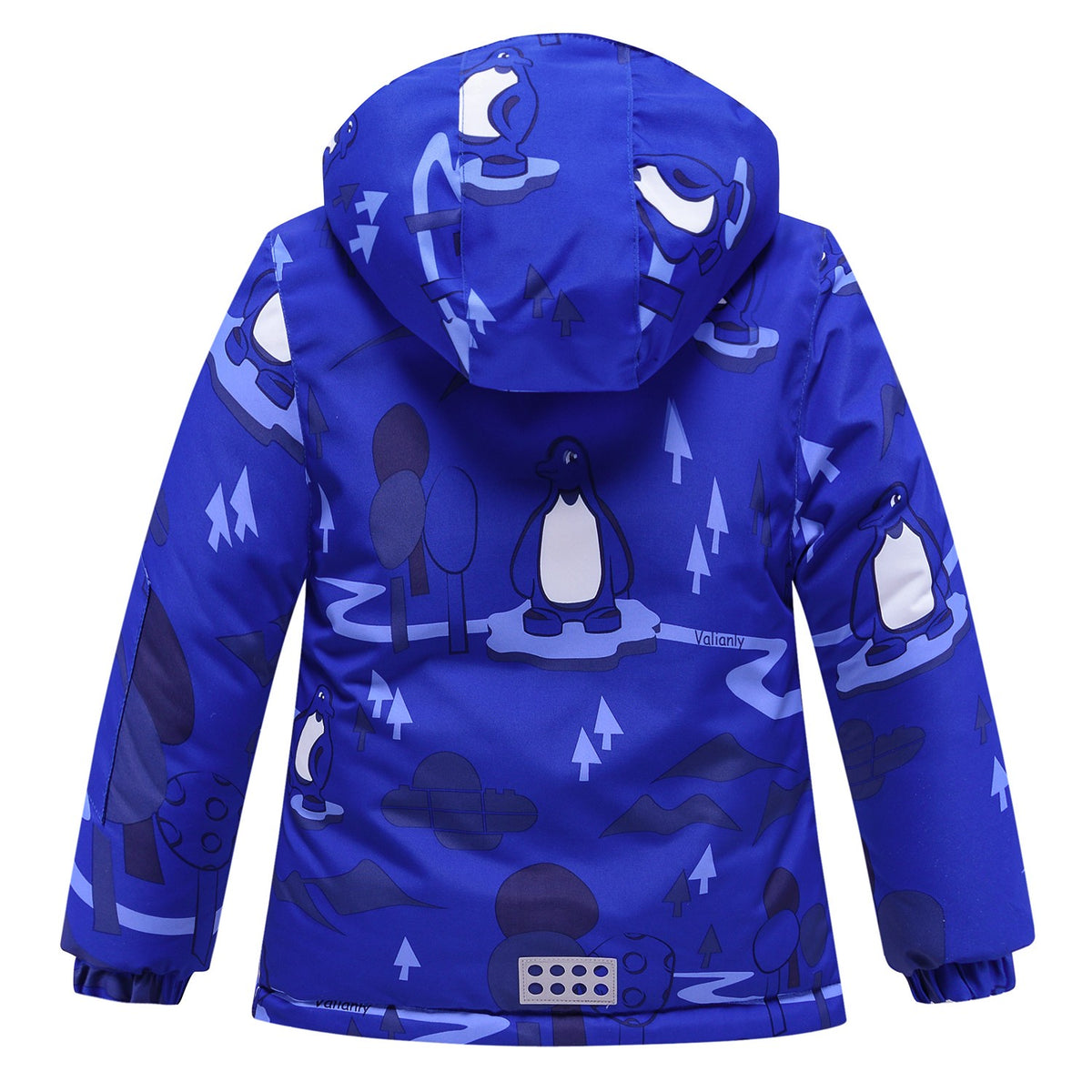 Valianly Boys' Blue Winter Jumpsuit 9209-blue